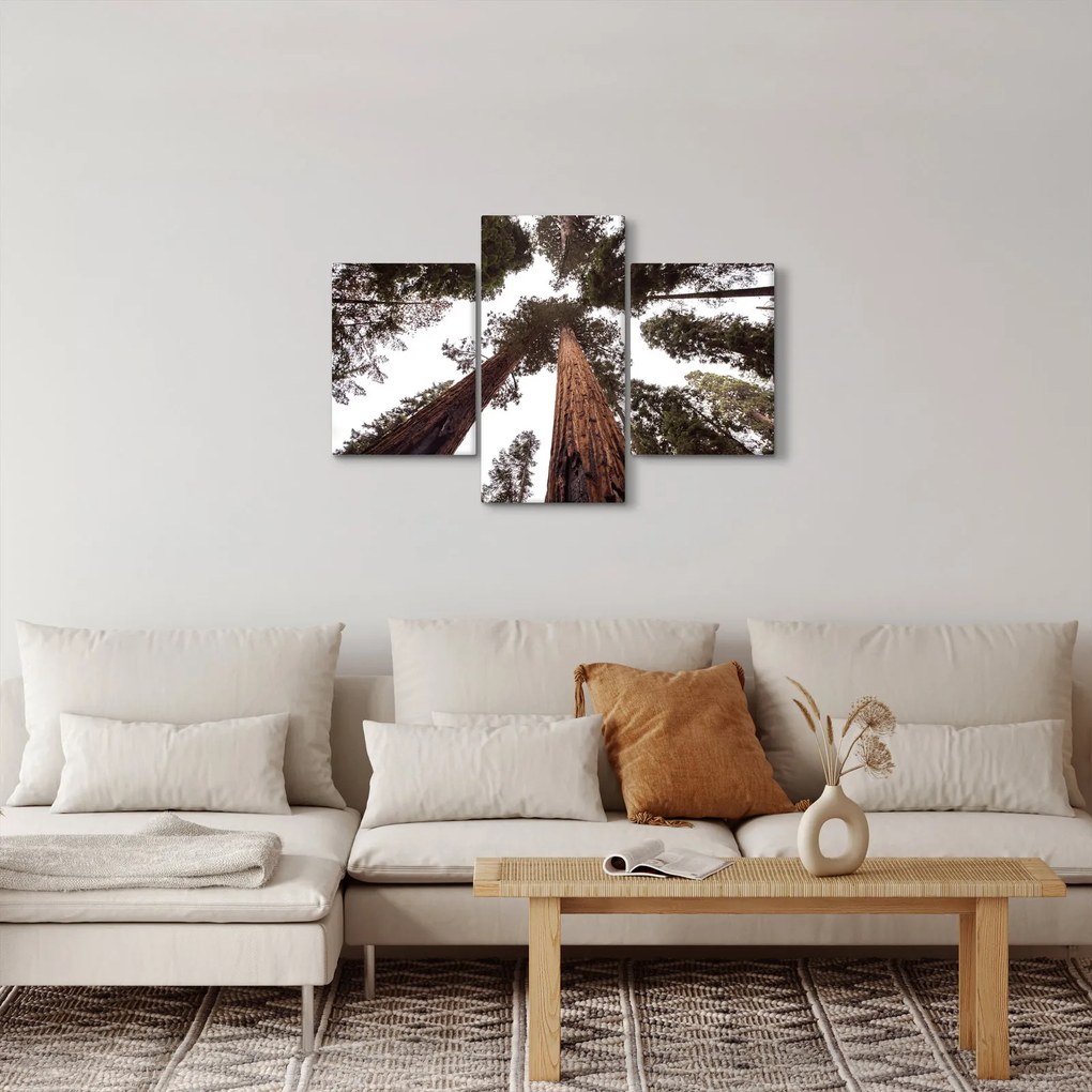Tablou - Privire prin vârfurile copacilor (90x60 cm)