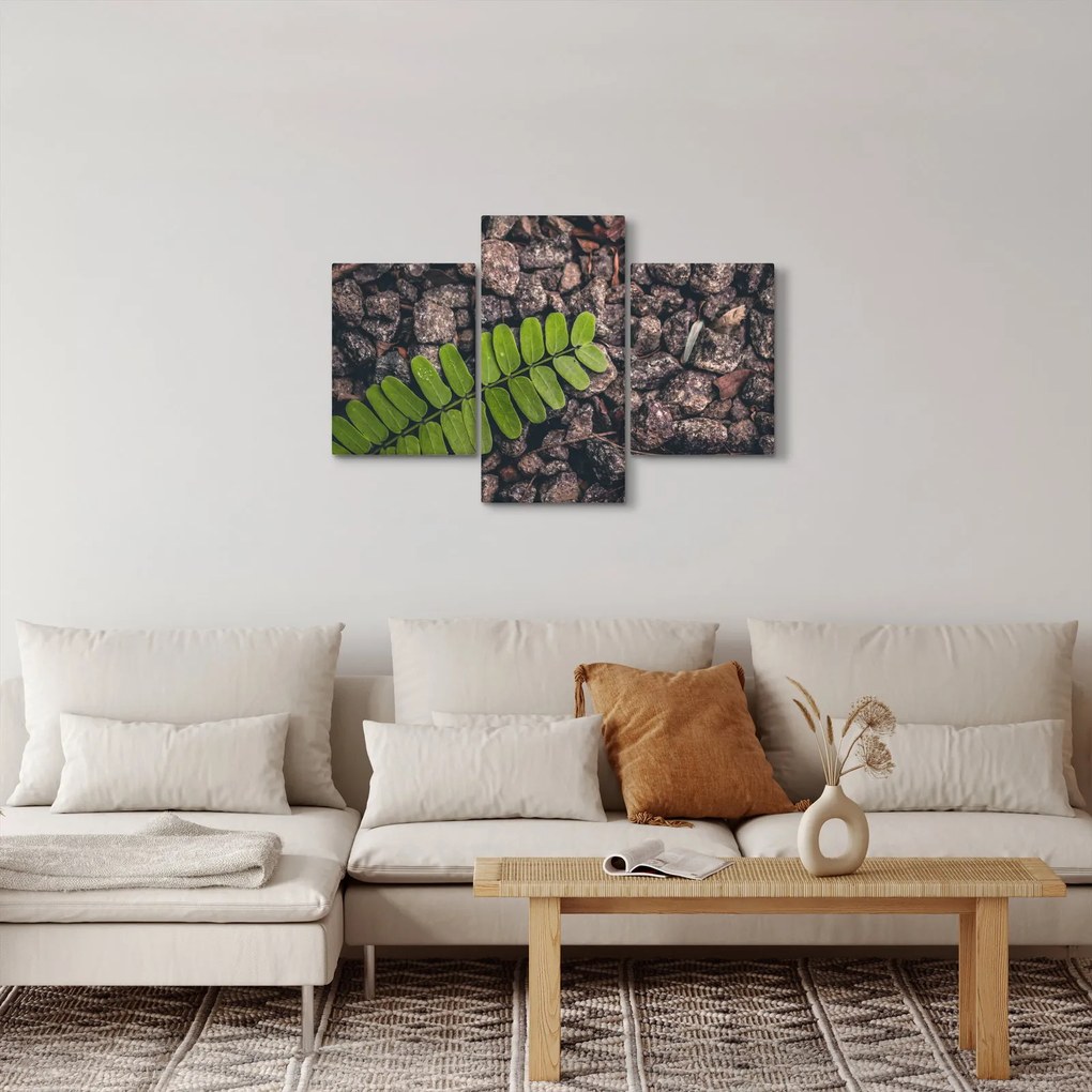Tablou cu planta verde (90x60 cm)