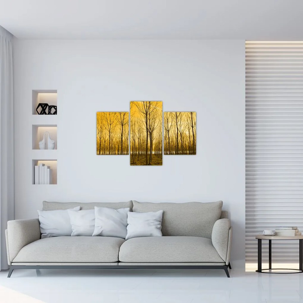 Tablou cu pădure în apus de soare (90x60 cm)