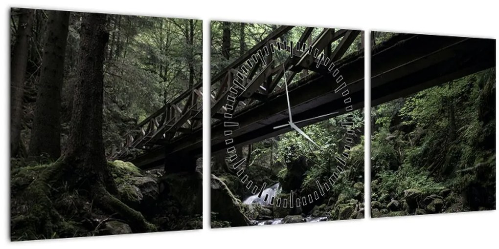 Tablou din pădurea neagră (cu ceas) (90x30 cm)