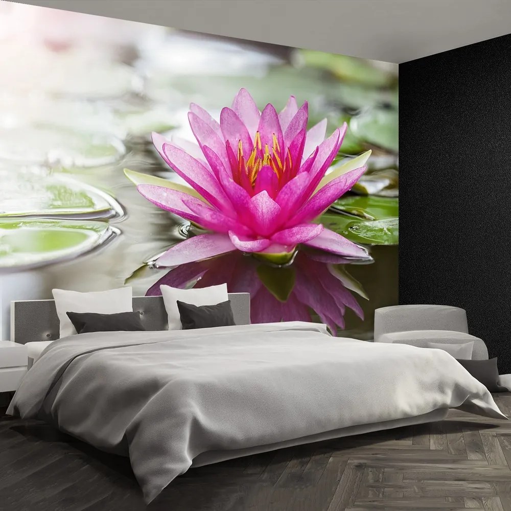 Fototapet roz Lotus