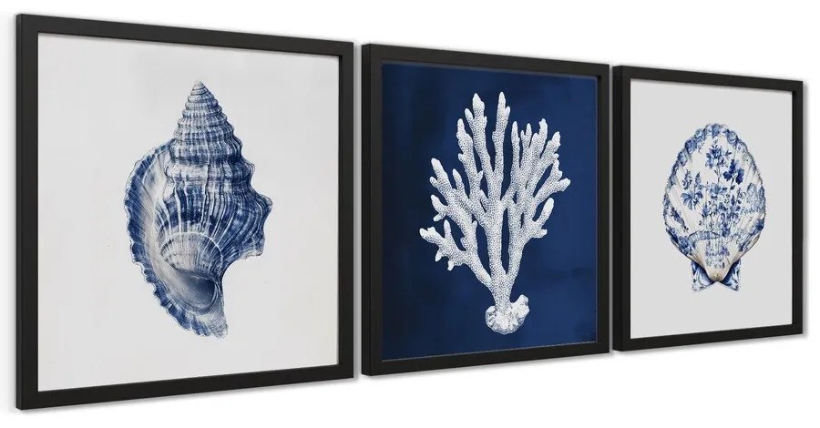 Tablou 30x30 cm Sea Treasure – Styler