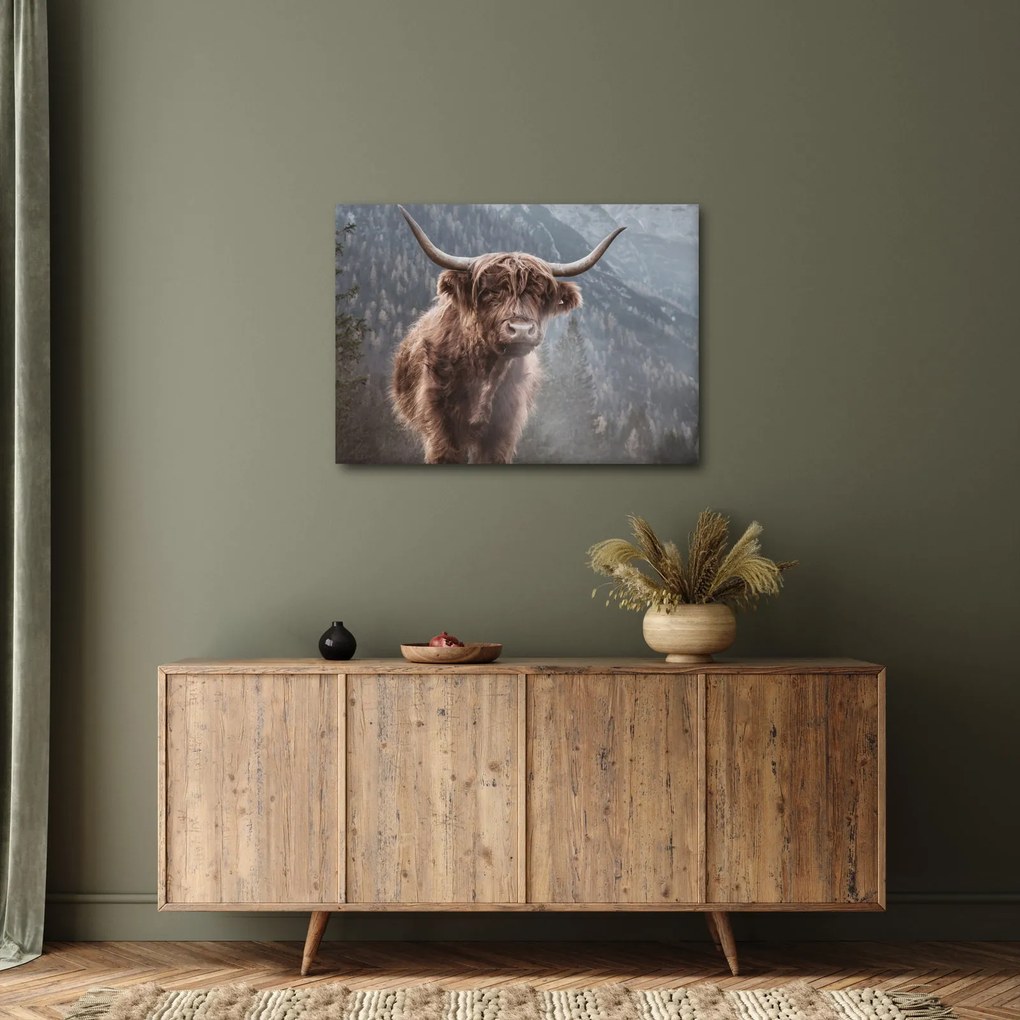 Tablou - Vaca Highlander (70x50 cm)