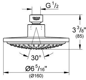 GROHE 28233000 - Cap de duș EUPHORIA COSMOPOLITAN 160, crom lucios