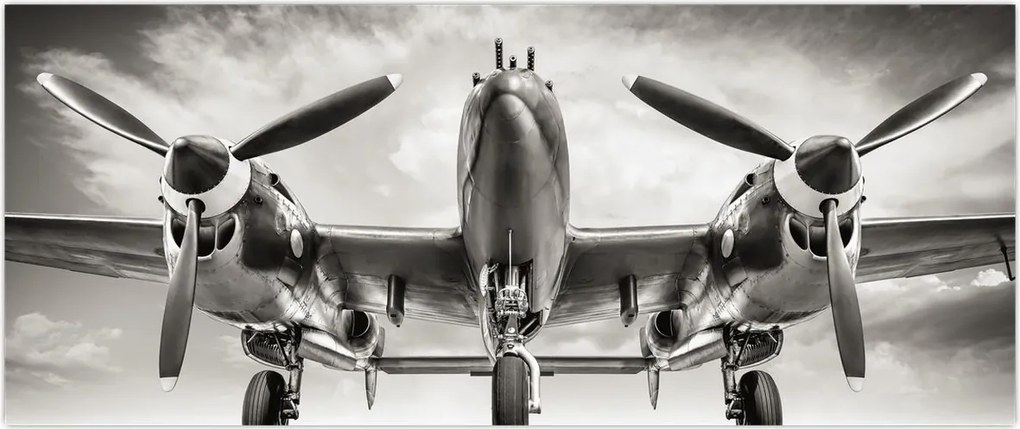 Tablou - Warbird (120x50 cm)