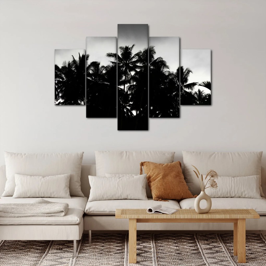 Tablou alb negru - palmieri (150x105 cm)