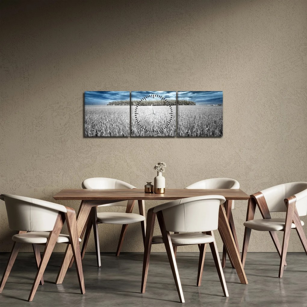 Tablou cu câmp (cu ceas) (90x30 cm)