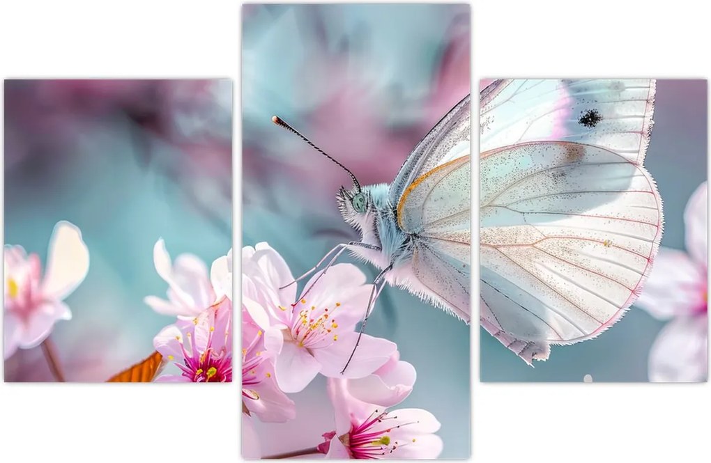 Tablou - Fluture pe un cireș (90x60 cm)