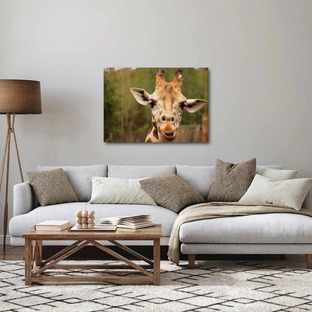 Tablou girafe (70x50 cm)