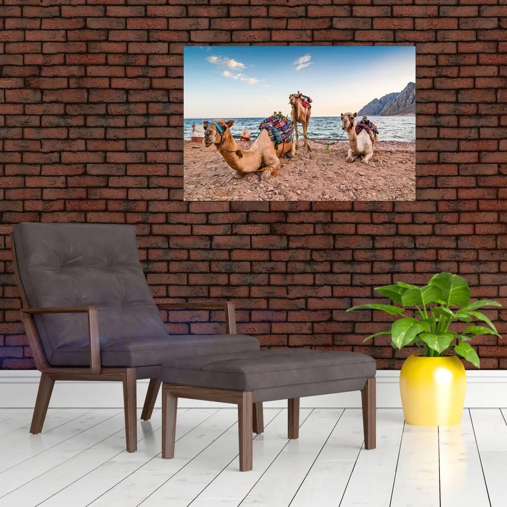 Tablou cu cămile (90x60 cm)