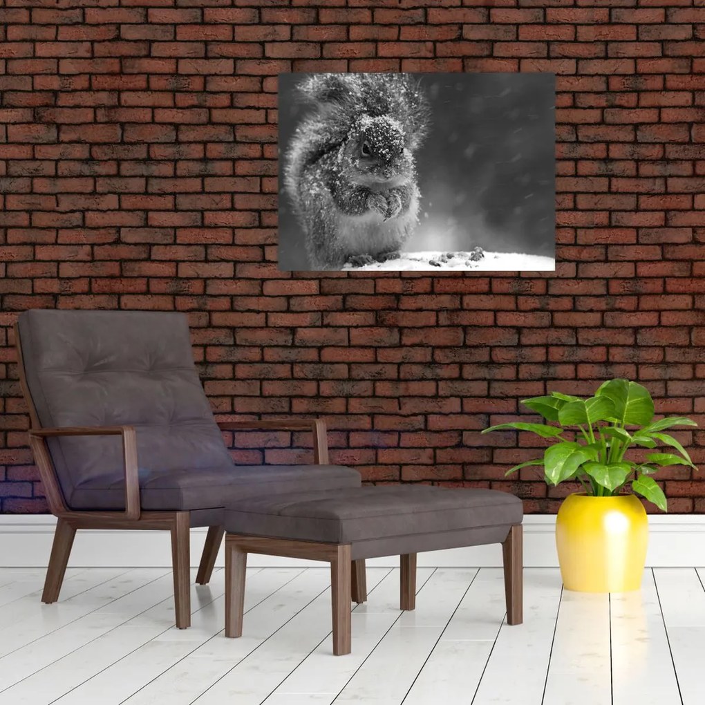 Tablou pe sticlă - Veveriță în timpul iernii (70x50 cm)