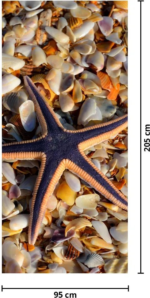 Fototapet pentru ușă - Stea de mare (95x205cm)
