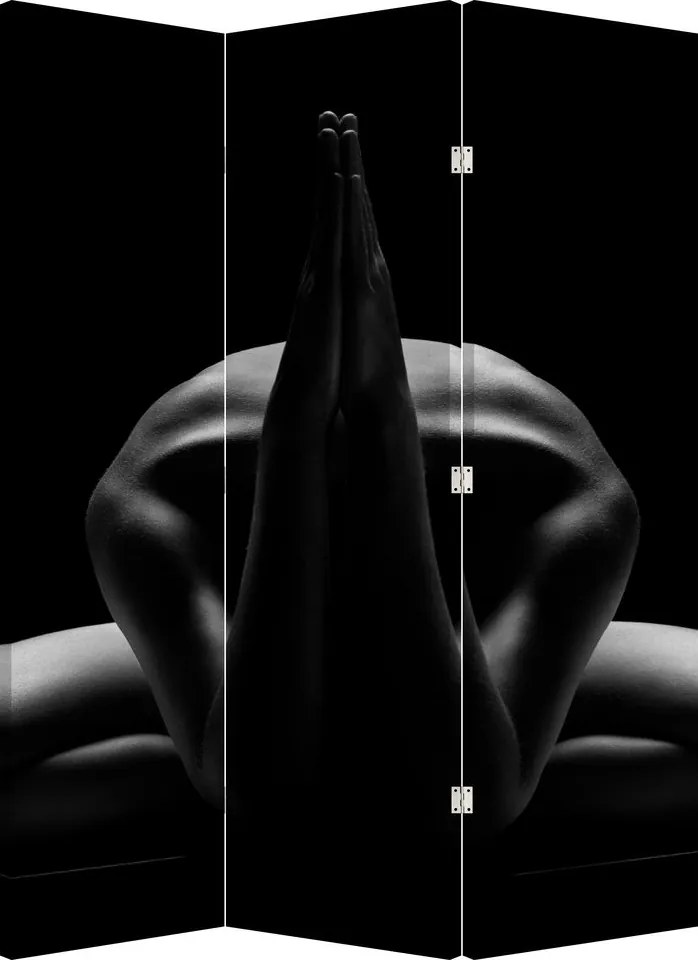 Paravan - Nud feminin (126x170 cm)