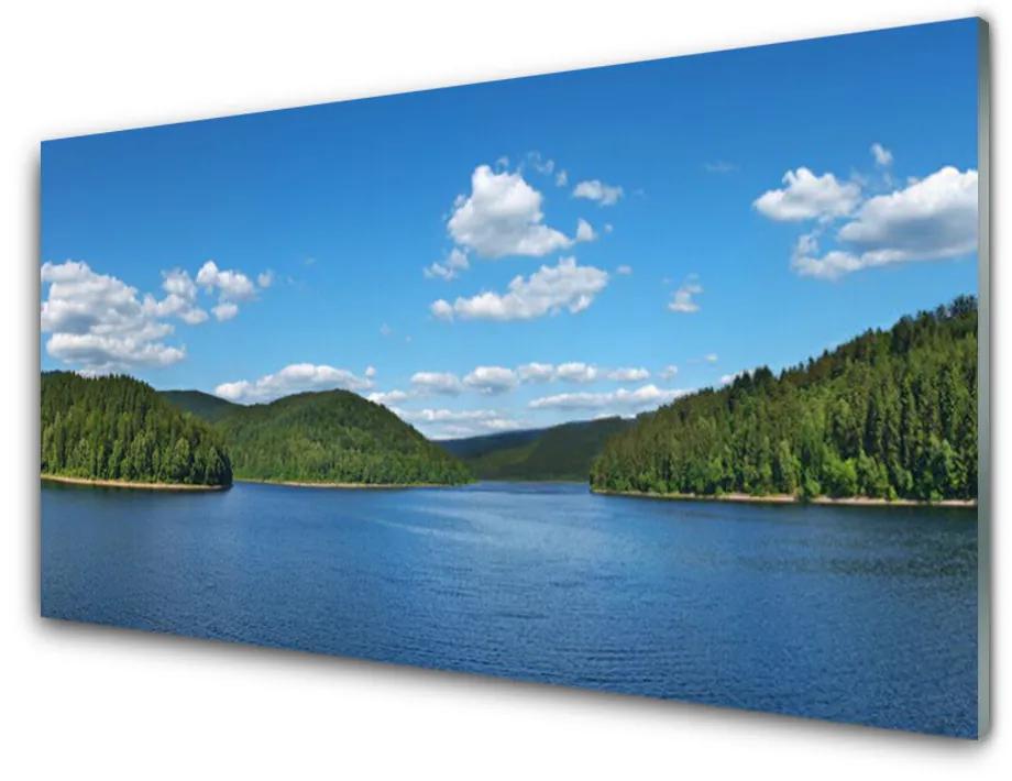 Tablou pe sticla Lake Forest Peisaj verde albastru