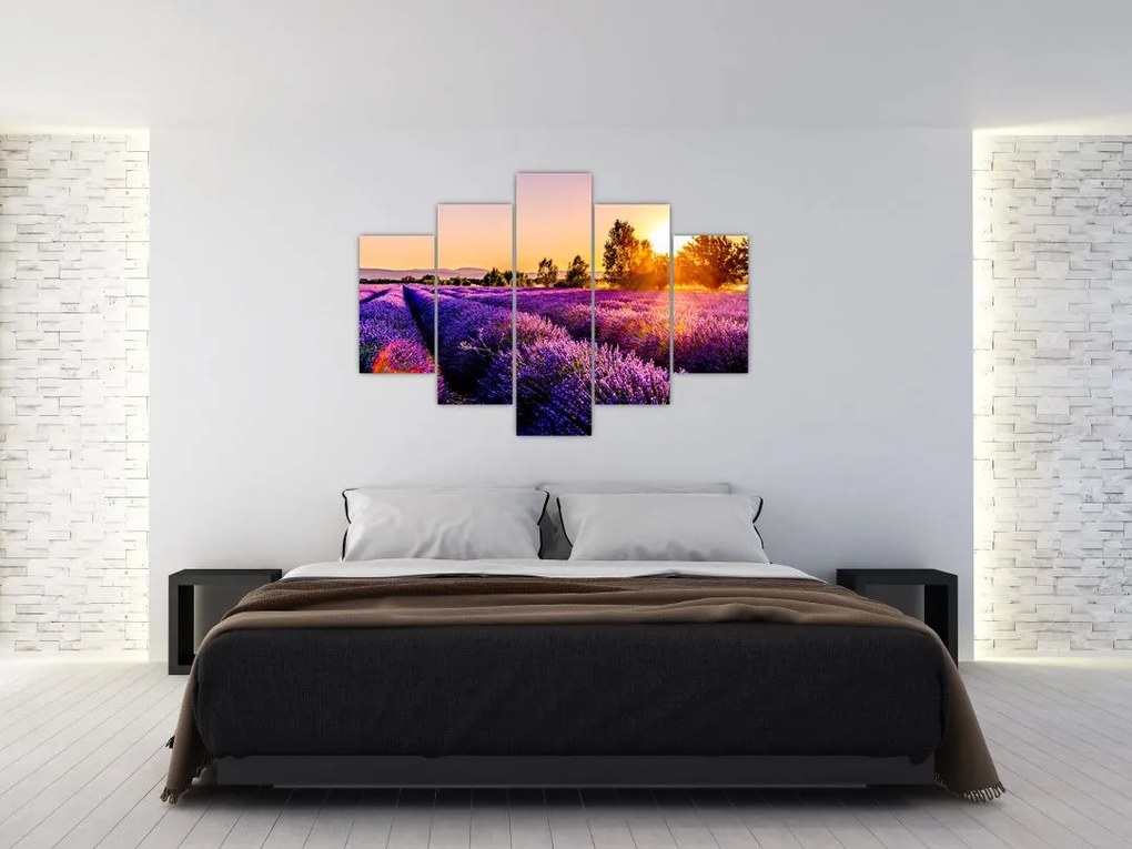 Tablou cu câmp de lavanda (150x105 cm)