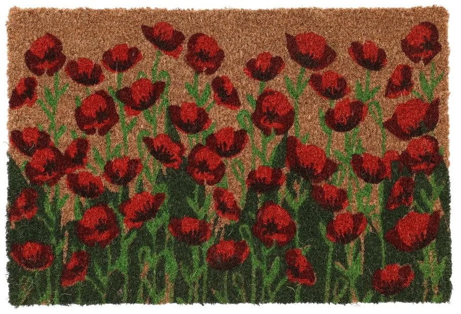 Covoraș de intrare din fibre de nucă de cocos 40x60 cm - Esschert Design