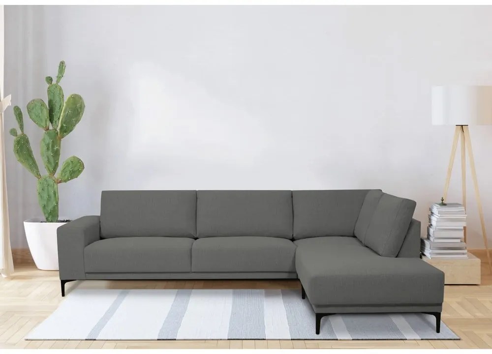 Colțar gri (colț pe partea dreaptă) Chile – Scandic