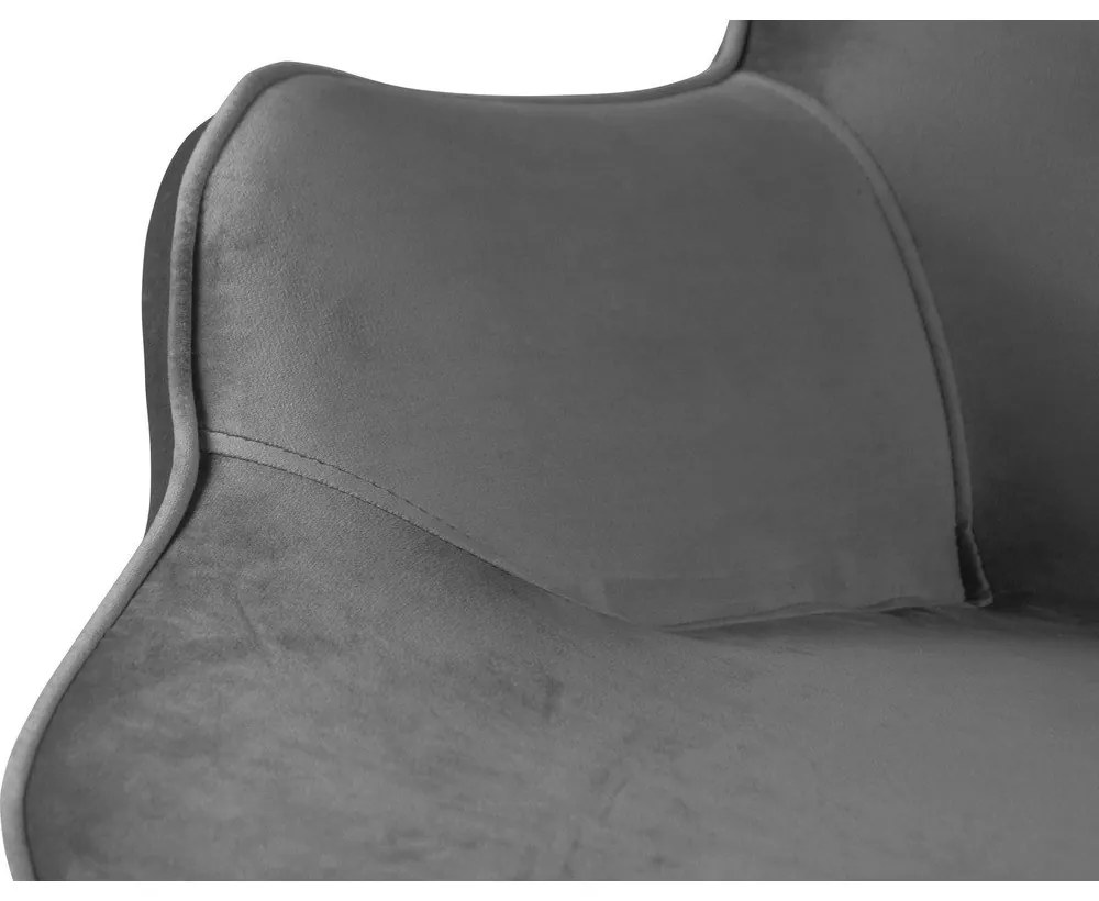 Fotoliu gri cu tapițerie din catifea Niko – Ropez