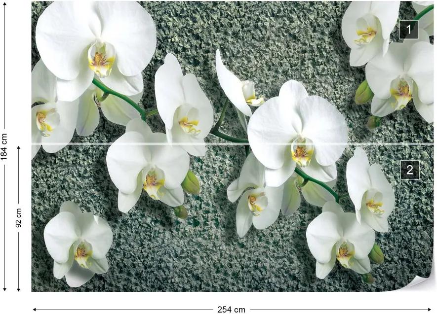 GLIX Fototapet - Flowers White Orchids Vliesová tapeta  - 254x184 cm