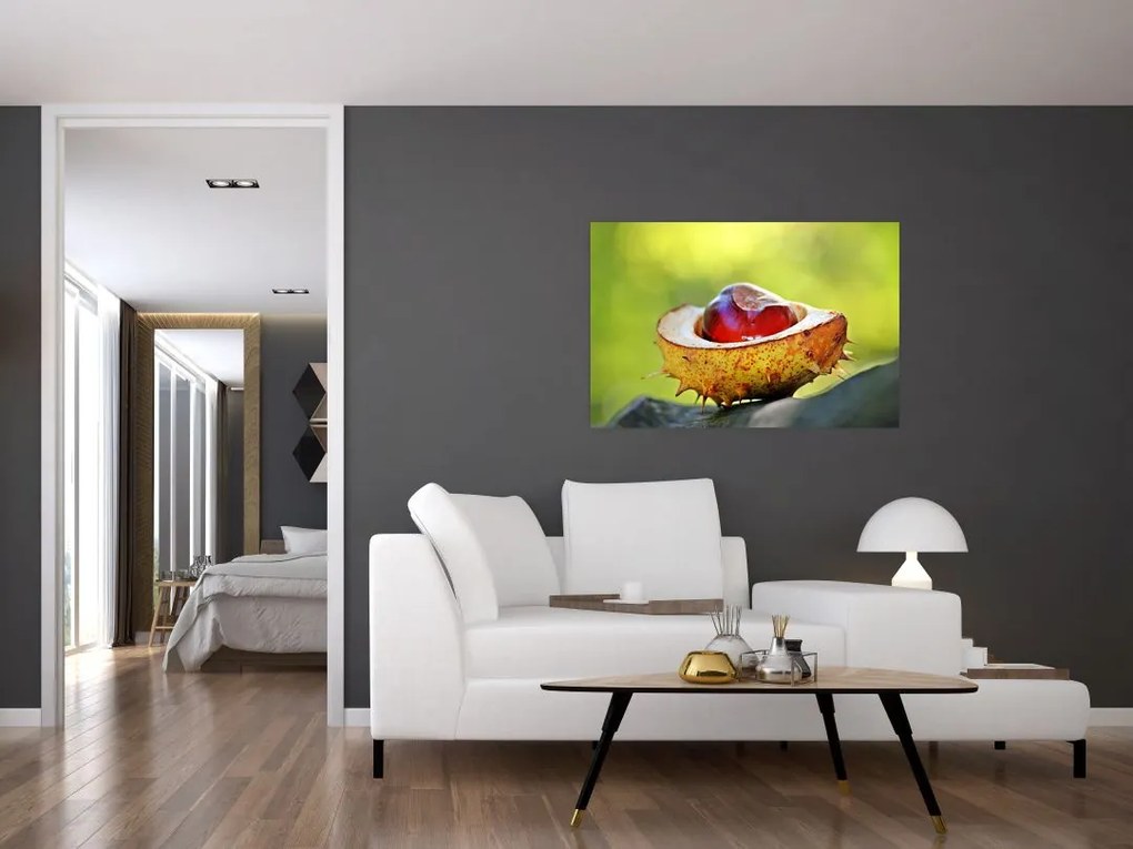 Tablou cu castani (90x60 cm)