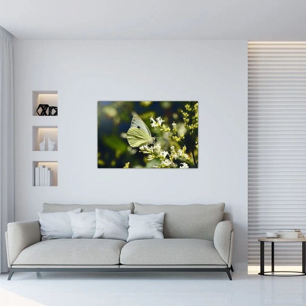Tablou cu fluture (90x60 cm)