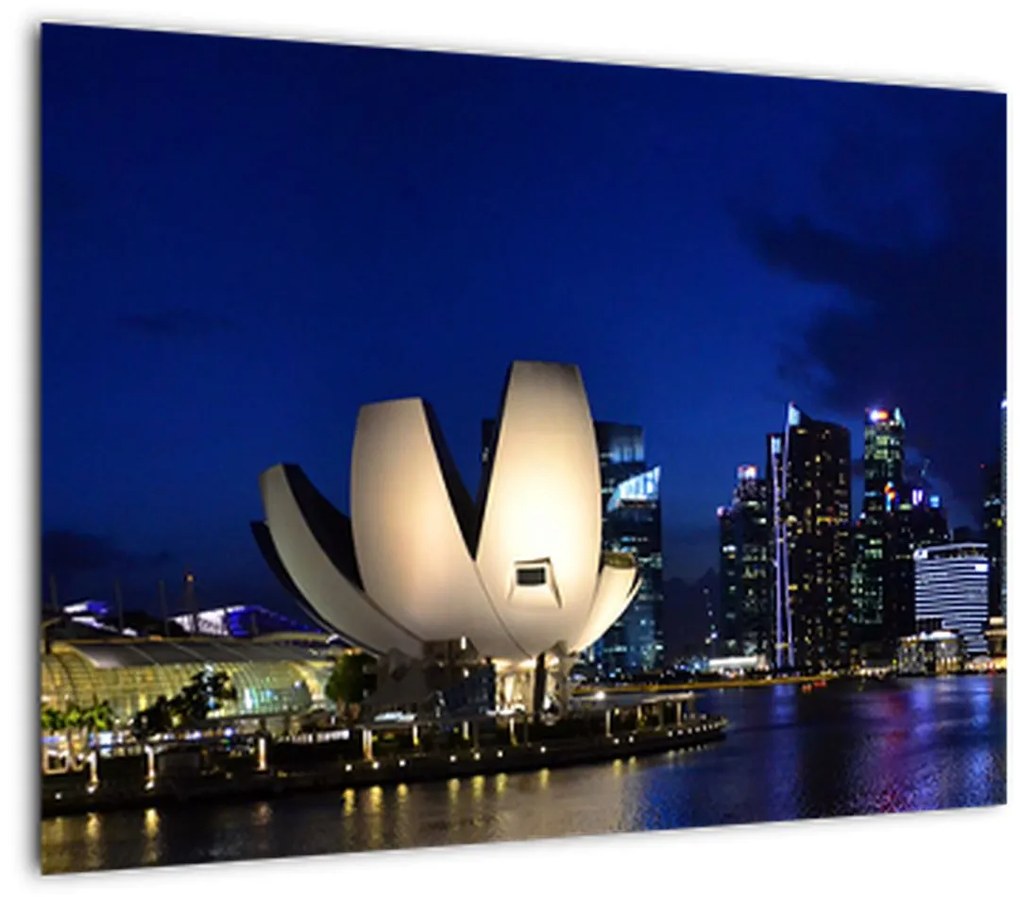 Tablou Singapore nocturn (70x50 cm)