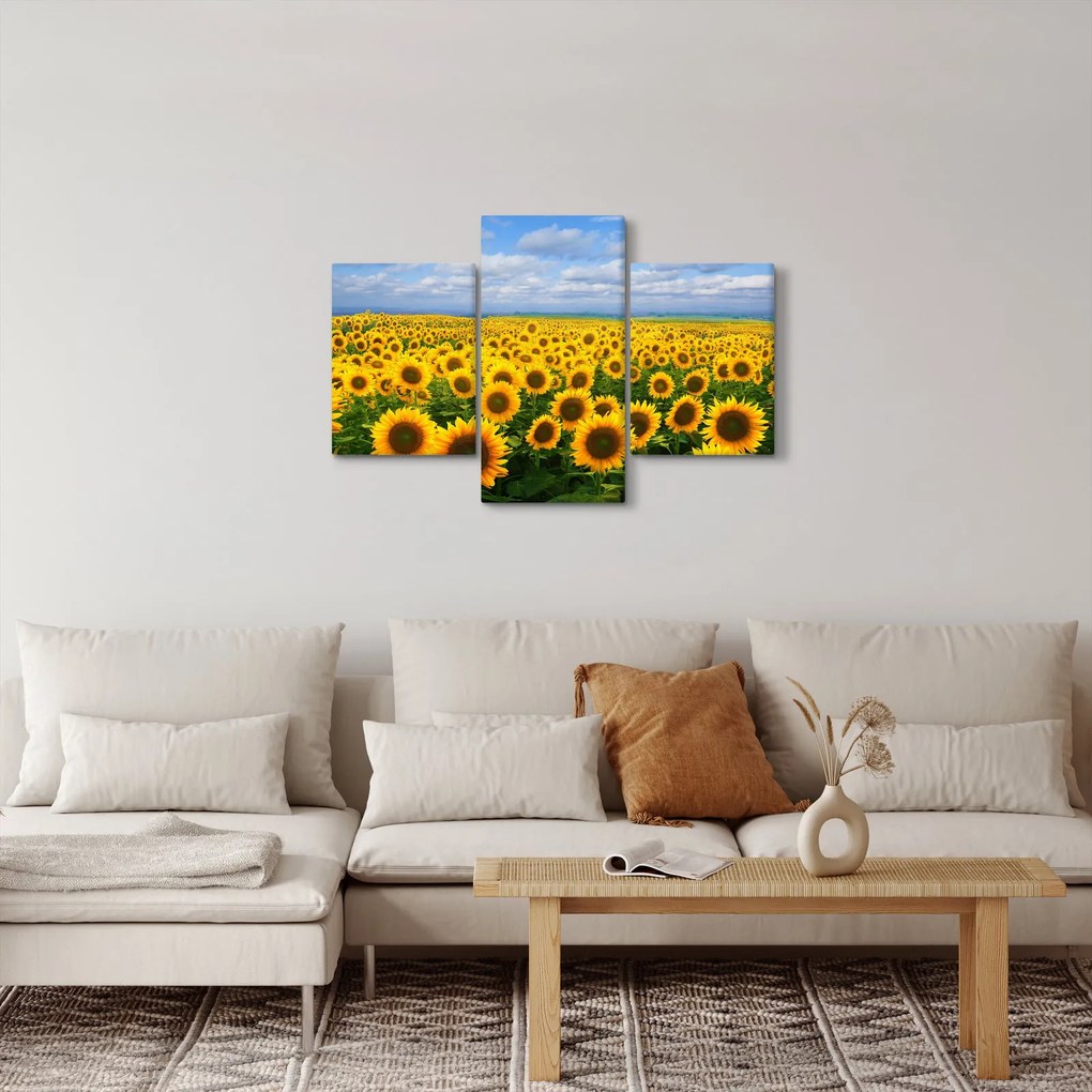Tablou cu lan de floarea soarelui (90x60 cm)