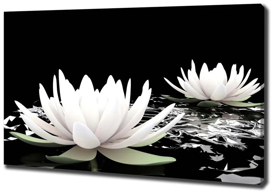 Tablou canvas Nuferi