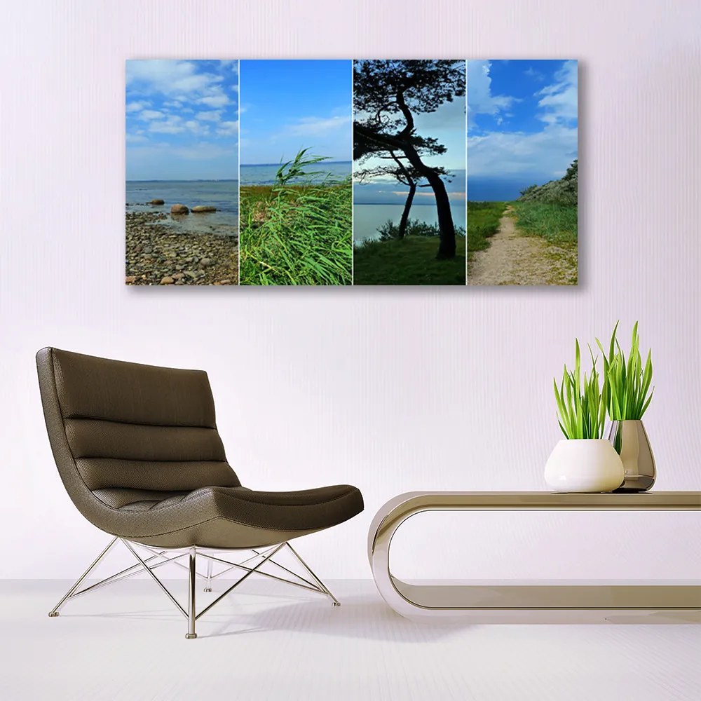 Tablou pe panza canvas Plaja copac Potecă Peisaj Verde Maro Negru