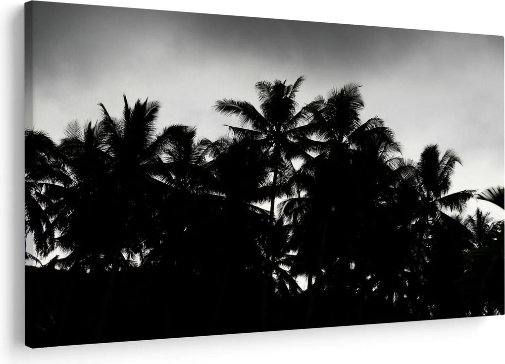 Tablou alb negru - palmieri (90x60 cm)