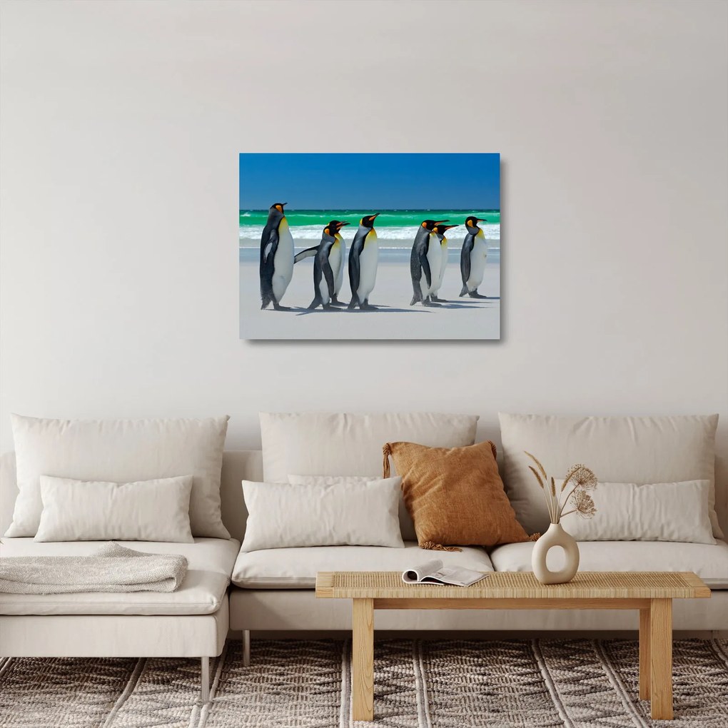 Tablou pe sticlă - Grup de pinguini regali (70x50 cm)