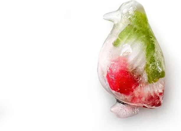 Formă pentru gheață – Lékué