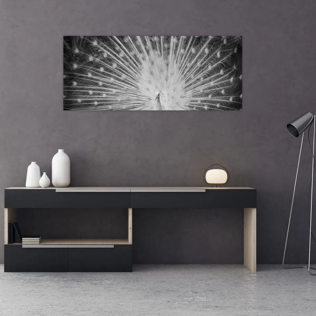 Tablou - Păun alb (120x50 cm)