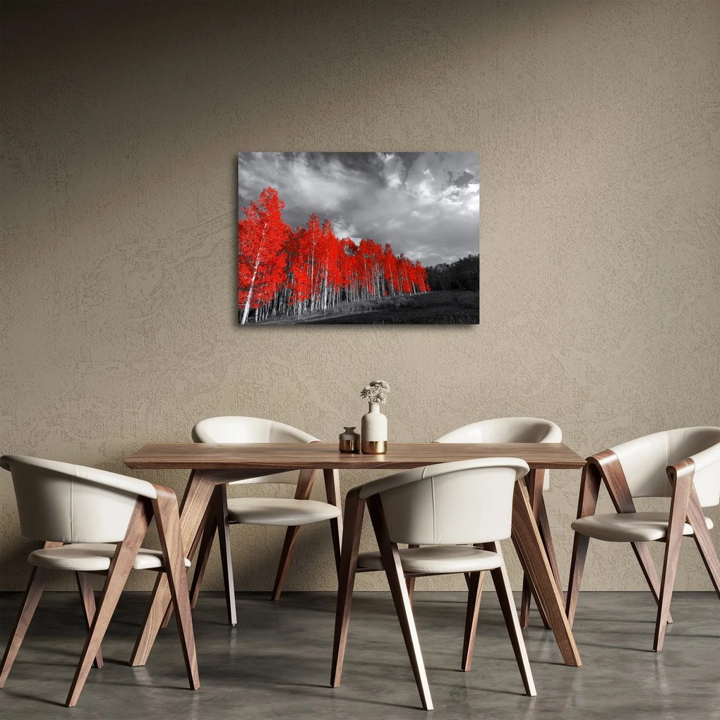 Tablou - Copaci în culorile toamnei (70x50 cm)