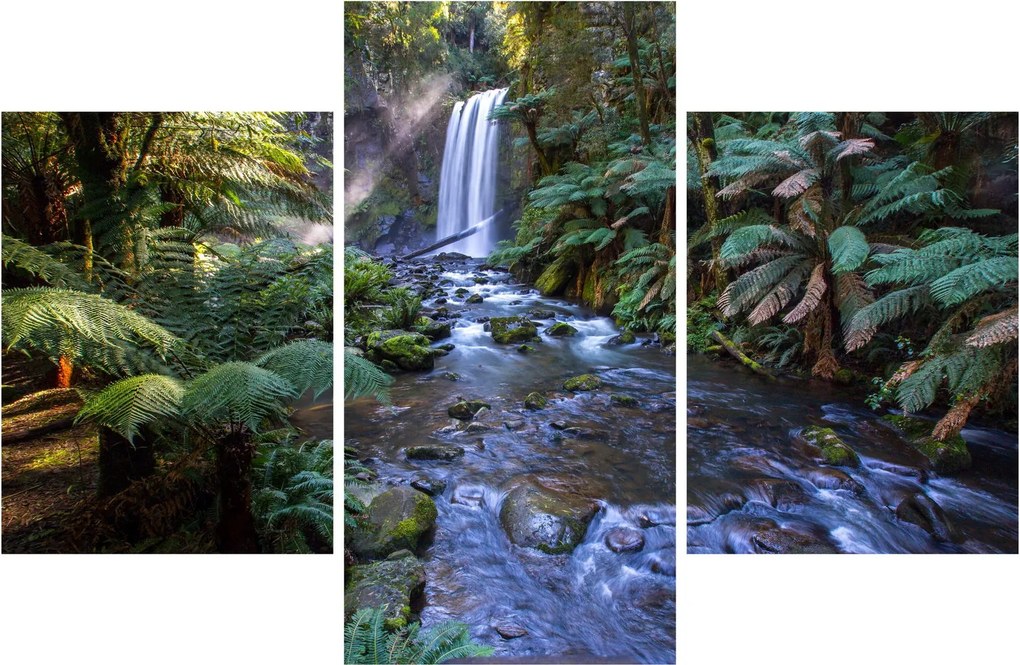 Tablou cu pădurea ploilor din Austalia (90x60 cm)