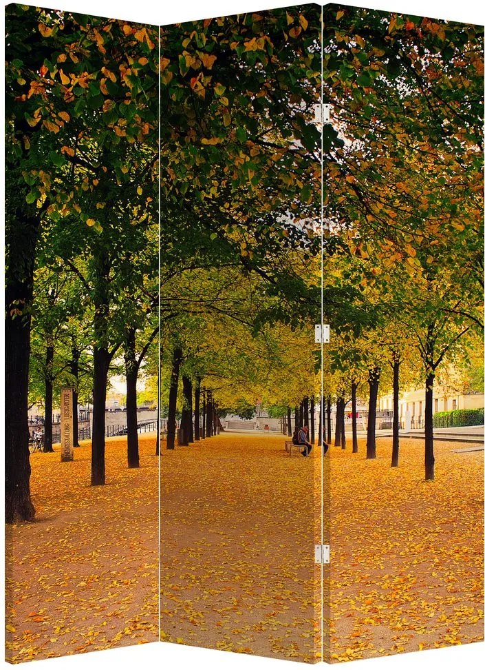 Paravan - Alee - copaci în toamnă (126x170 cm)