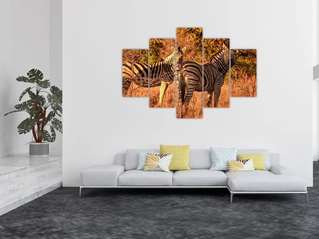Tablou cu zebre (150x105 cm)