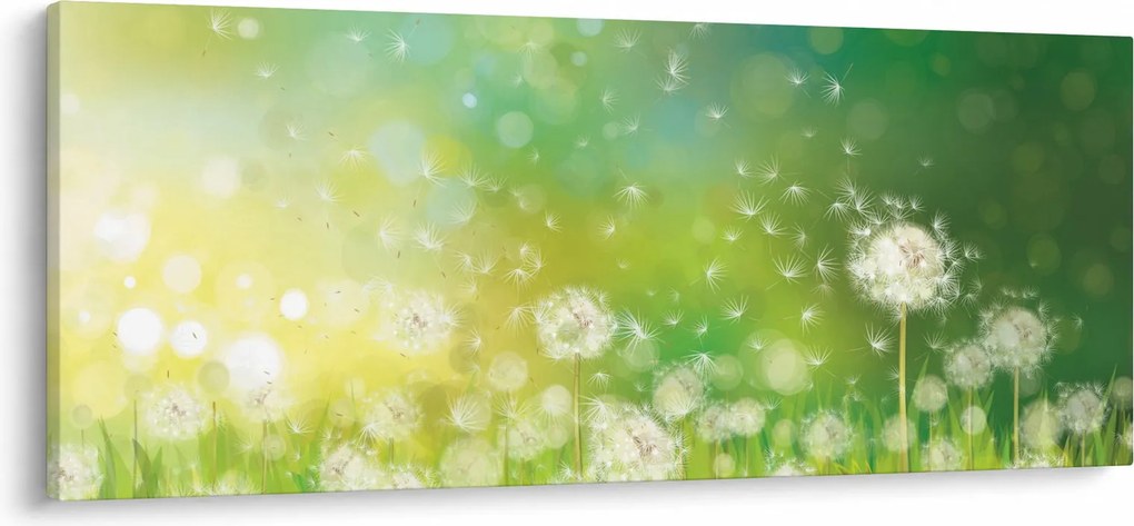 Tablou - Păpădie înflorită (120x50 cm)