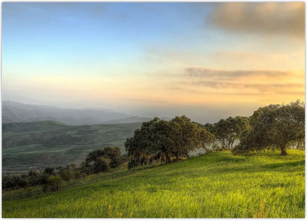 Tablou - Privire de pe deal (70x50 cm)