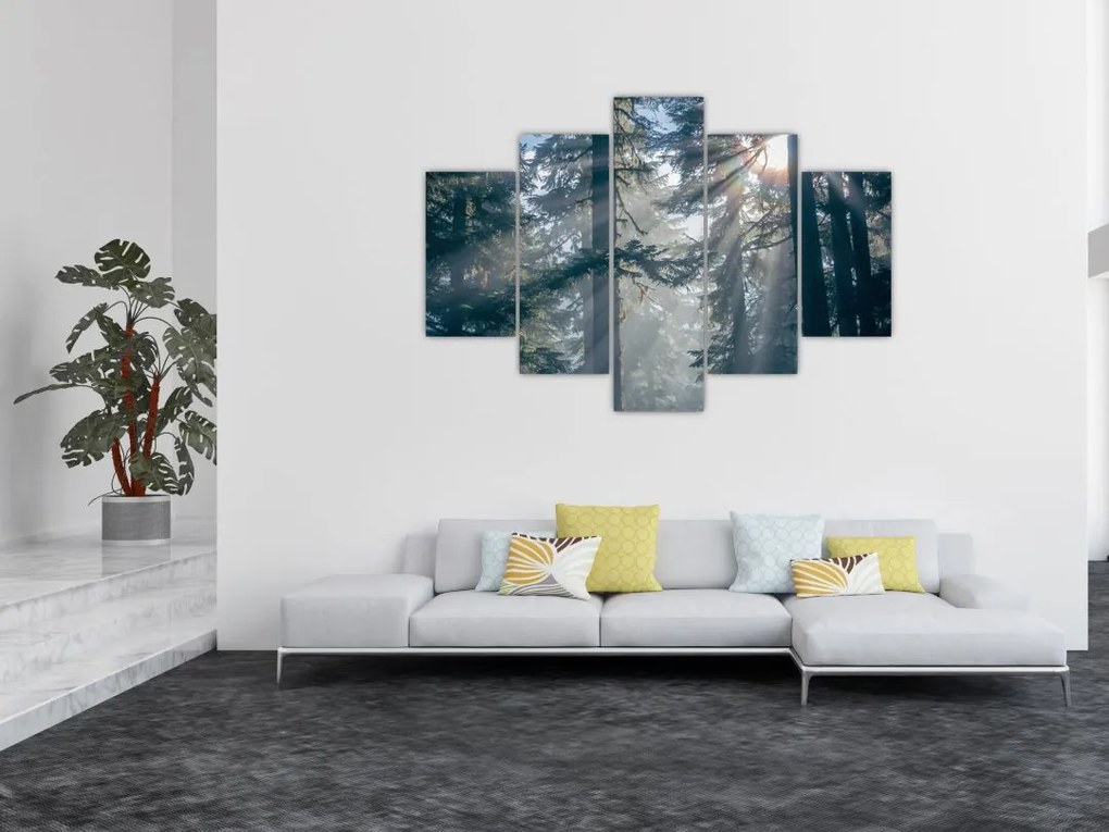 Tablou cu copaci și soarele translucind (150x105 cm)
