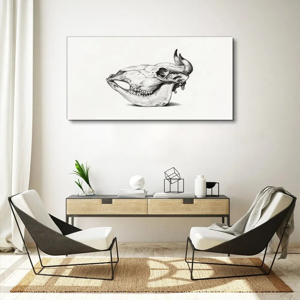 Tablou canvas Desen craniu de vacă