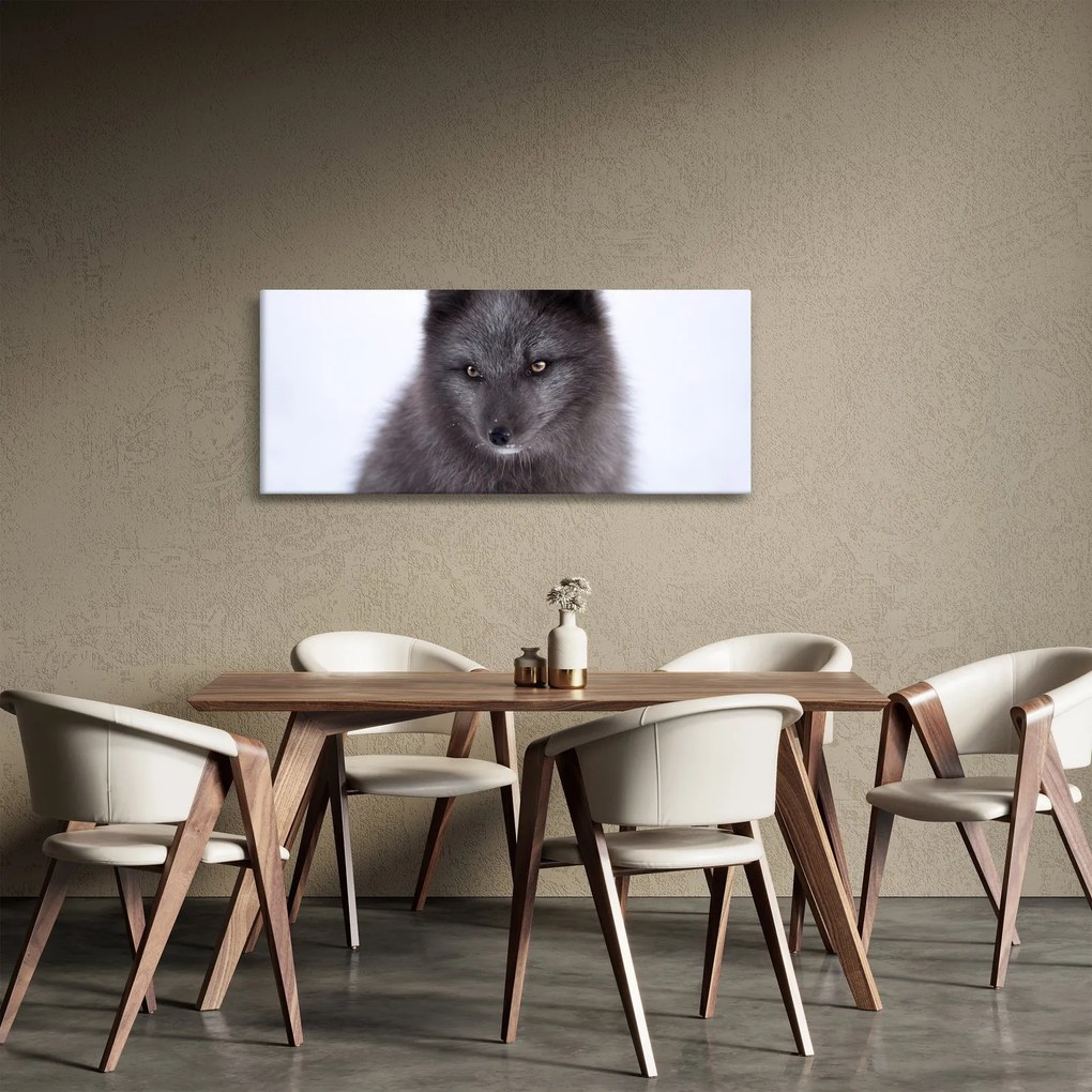Tablou cu vulpe polară (120x50 cm)