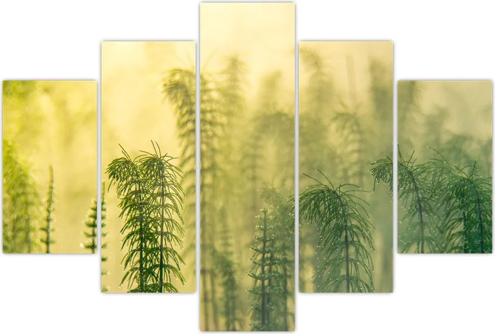 Tablou - Detaliu de primăvară natura cețoasă (150x105 cm)