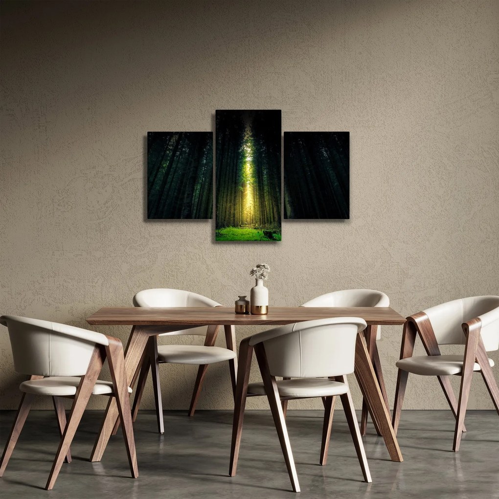 Tablou cu pădurea întunecată (90x60 cm)