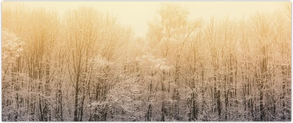 Tablou cu pădure geroasă (120x50 cm)