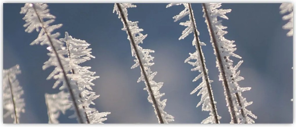 Tablou - Îngheț (120x50 cm)