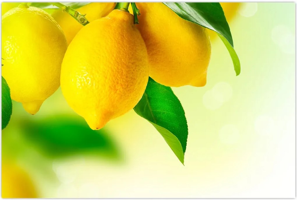 Tablou cu lămâi (90x60 cm)