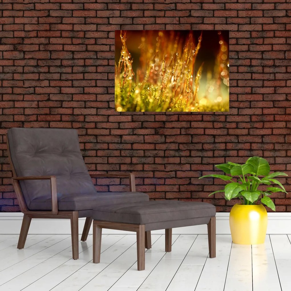 Tablou - Detaliu rouă (70x50 cm)