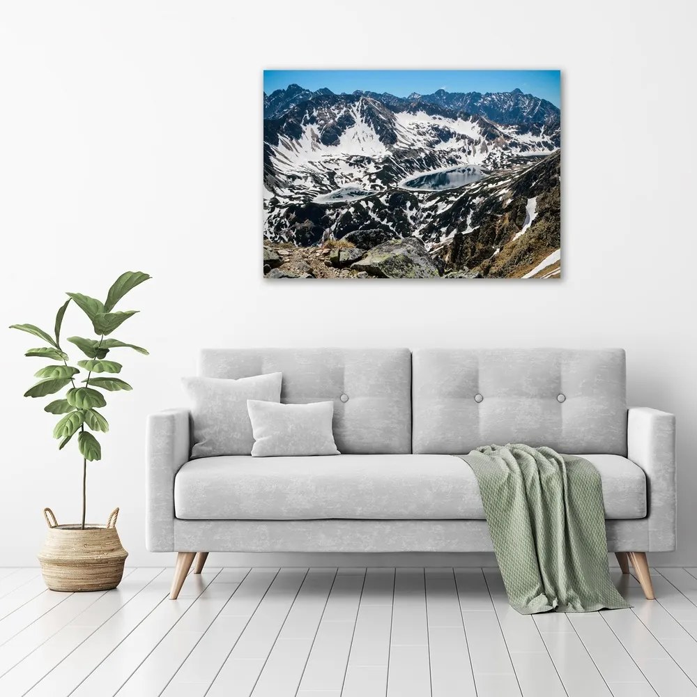 Print pe pânză Lacul în munții tatra