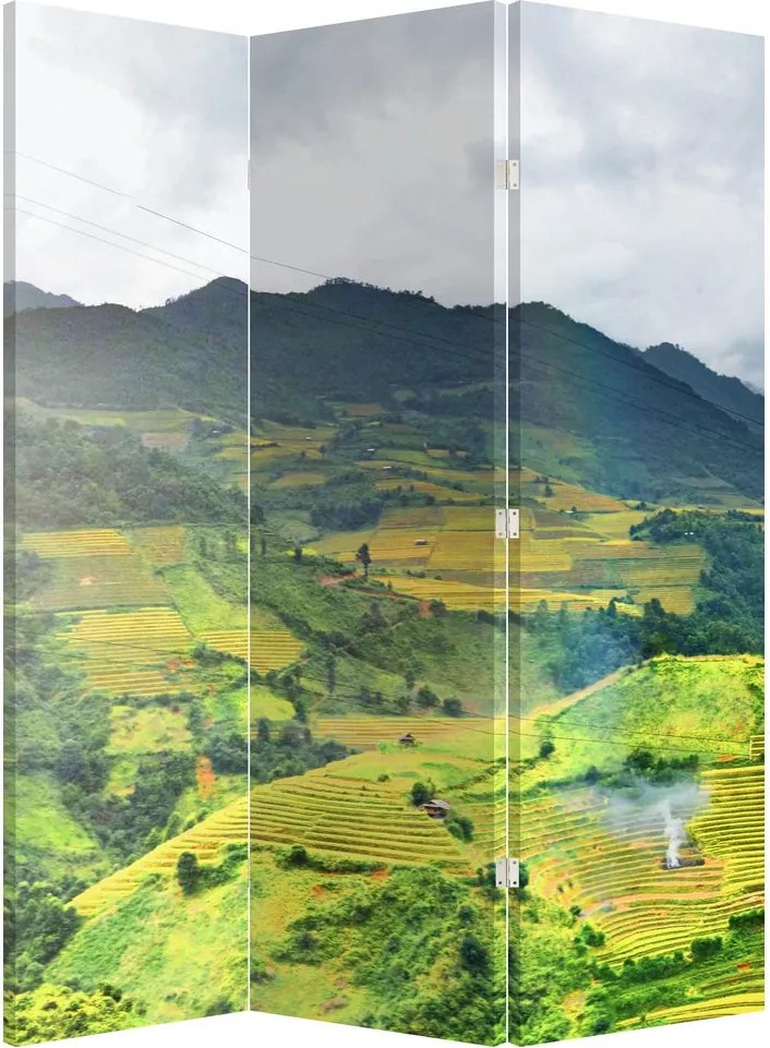 Paravan -Plantație (126x170 cm)